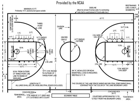Basketball Court Diagram And Layoutdimensions Basketball