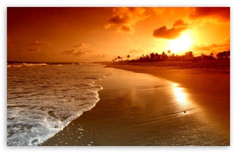 Beach Sunrise Ultra Hd Desktop Background Wallpaper For 4k
