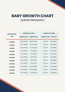 Growth Chart Template Word Template Net