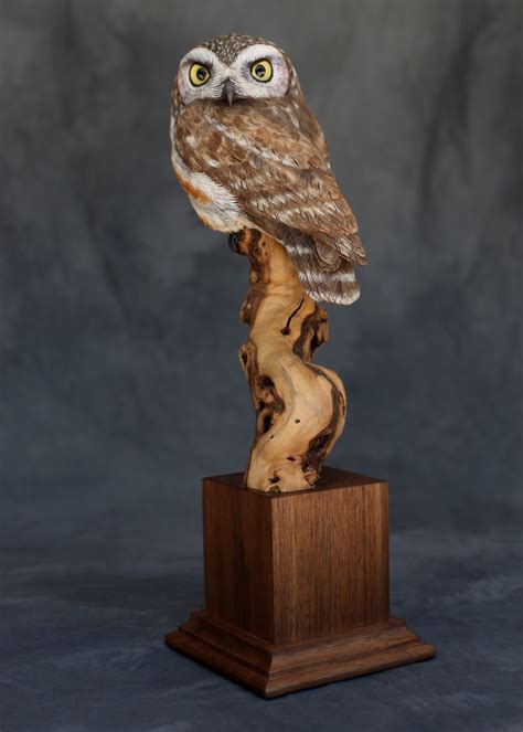 Life Sized Saw Whet Owl Wood Carving Sculpture Bird