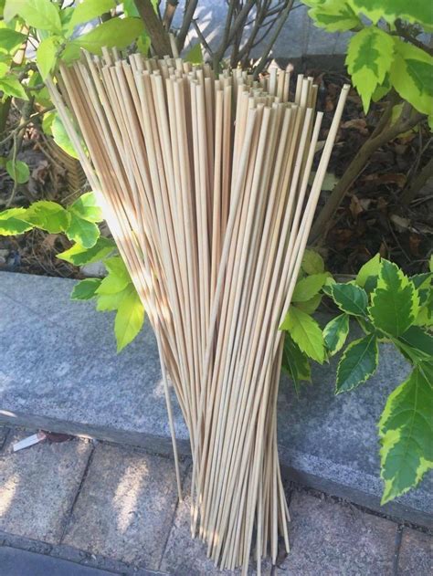 50 X Bamboo Plant Sticks Grow Support Sticks Garden Potted Etsy