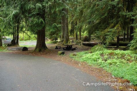 Sol Duc Campsite Photos Campsite Availabilty Alerts And Info