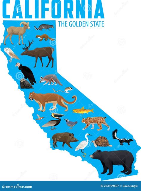 Map Of California With Animals Stock Vector Illustration Of Outdoor