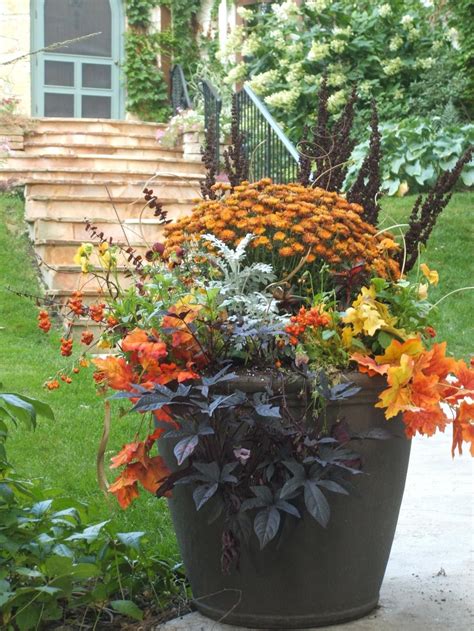 Fall Container Garden Need To Swap Out Begonias And Put In Mums In My