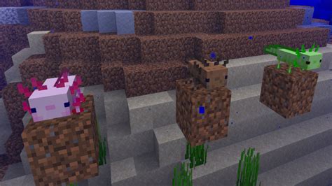 Minecraft Axolotl Tout Ce Que Nous Savons
