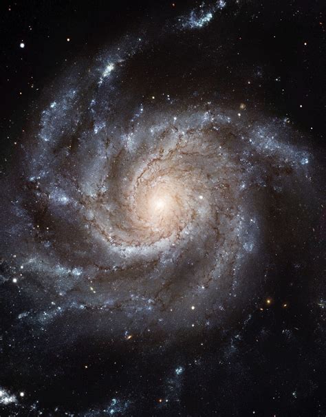 Space Pics — The Pinwheel Galaxy M101