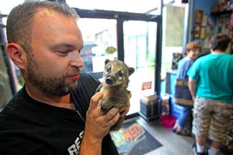 Our clientele consists of exotic pet lovers, zoos, zoological facilities, and wildlife educators. Exotic pets are #lodi shop's specialty - - scoopnest.com