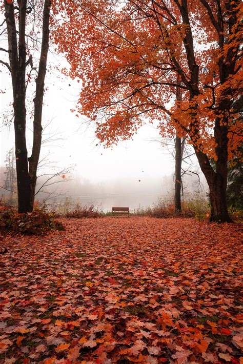 Foggy Autumn Morning At Richfield Heritage Preserve Near Cleveland Rohio