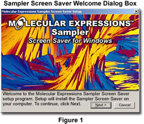 If installforge does not fit your needs we will be willing to accept a contract for developing an individual version. Molecular Expressions: Sampler Screen Saver Installation ...