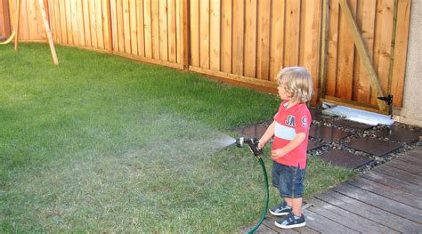 5 Watering Tips For San Antonio Lawns