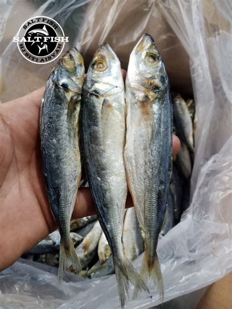 Ikan Asin Peda Layang Klotok Fresh 1kg Lazada Indonesia