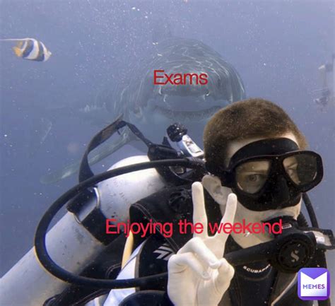 Exams Enjoying The Weekend Hummingjay Memes