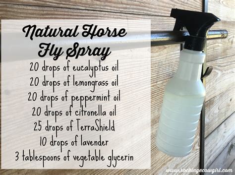 Diy Horse Fly Spray With Essential Oils Makeda Greenberg