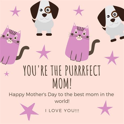Happy Mothers Day 2019 Cães Gatos