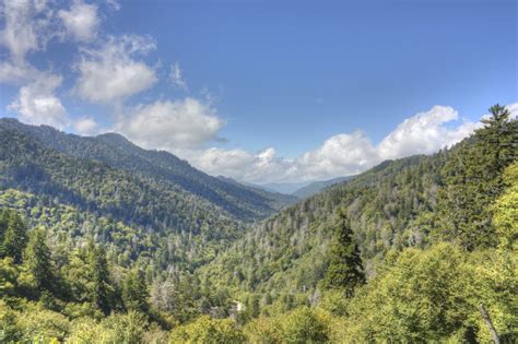 Getting To Know Great Smoky Mountains National Park Gatlinburg