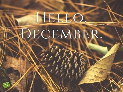 Hello December PNG | Hello december images, Hello december, December images