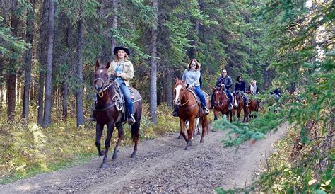 Trail Archives Albertas Iron Horse Trail