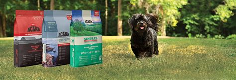 A series of successful international business ventures include champion pet foods, which exports around the world. Champion Petfoods • World's Best Pet Food