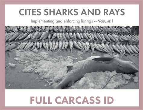 Publications Identification Guide Iucn Ssc Shark Specialist Group