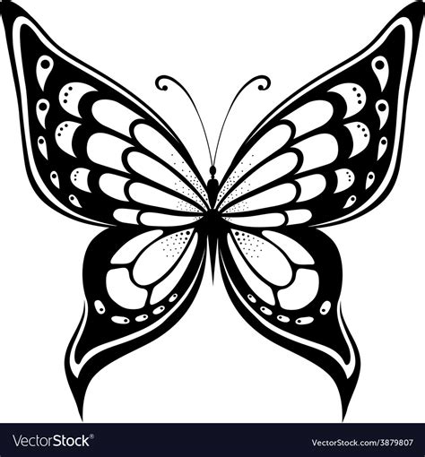 114 Butterfly Svg Black And White SVG PNG EPS DXF File
