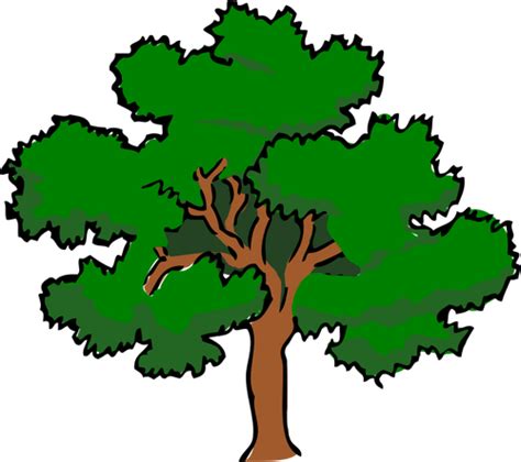 Oak Tree Clipart Clipart Best
