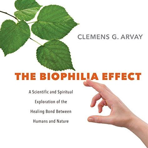 The Biophilia Effect Sounds True Human Connection Healing