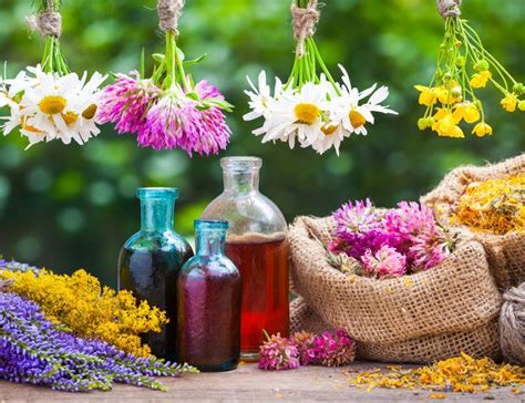 Qué son las flores de Bach y sus beneficios