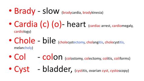 Medical Terms 2 Prefixes Part 1 Youtube