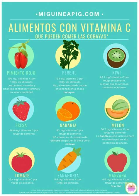 Info De Sus Verduras Y Frutas 🐹 Alimentos Con Vitamina A Frutas Y