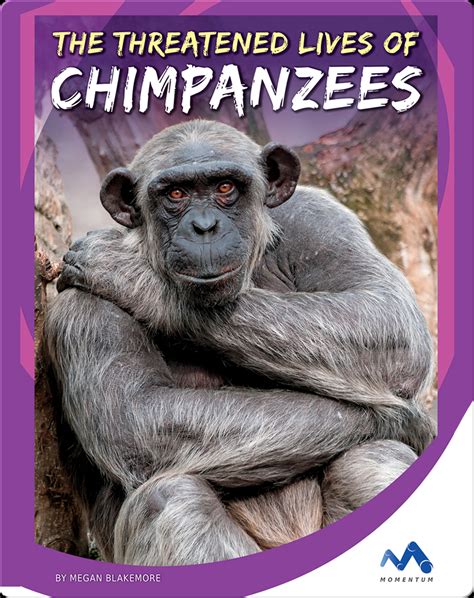 The Threatened Lives Of Chimpanzees Book By Megan Blakemore Epic