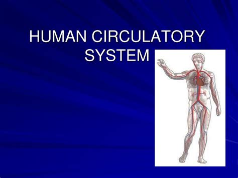 Animals With Closed Circulatory System