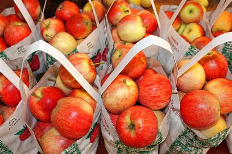 It's that time of year: Get out there and pick some apples in Concord | The Concord Insider