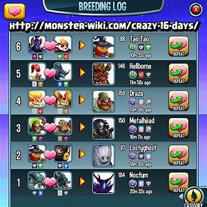 Everything You Need To Know About Crazy 16 Days Event With Images