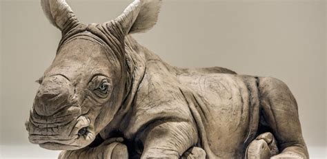 Wildlife Artist Of The Year Selection Nick Mackman Animal Sculpture