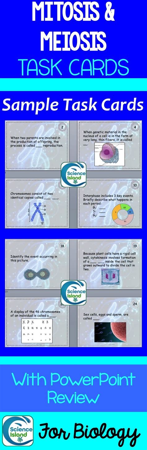 Mitosis And Meiosis Task Cards Activity For Biology Print And Digital