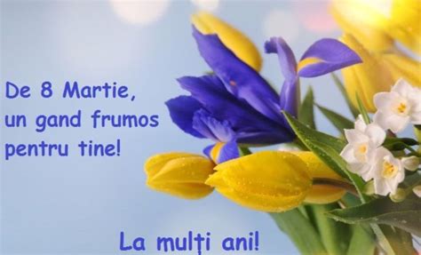 Mesaje 8 martie „această zi este o ocazie deosebită să vă aducem cele mai sincere și frumoase urări de bine, sănătate, prosperitate dumnevoastră care sunteți atât de drag pentru fiecare dintre noi. Foto 2 - Felicitări 8 Martie 2019. Imagini frumoase cu ...