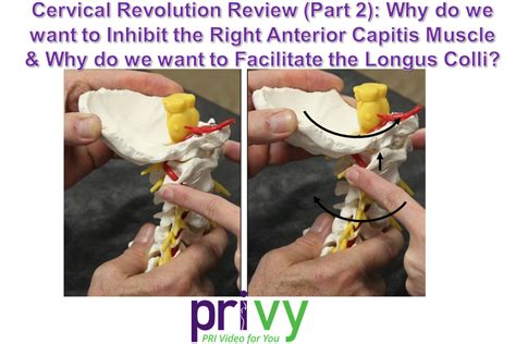Ep 70 Cervical Revolution Review Part 2 Why Do We Want To Inhibit