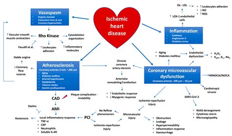 Coronary Artery Disease Pathophysiology Diagram