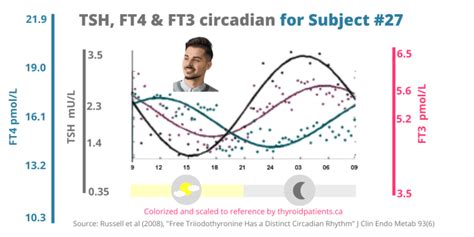 The Significance Of The Tsh Ft3 Circadian Rhythm Thyroid Patients Canada
