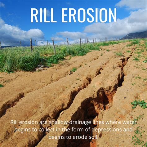 Soil Erosion Types Of Soil Erosion Factors Affecting Soil Erosion