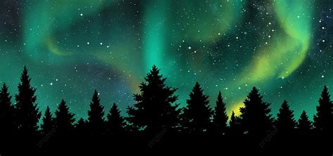 Beautiful Night Sky Aurora Starry Trees Background Trees View Color