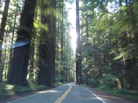 7 Of The Most Scenic Byways To Drive In Northern California