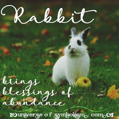 Rabbit Symbolism And Rabbit Meaning Rabbit Spirit And Totem Animal