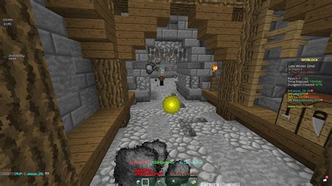 Hypixel Dungeons Bug Hypixel Minecraft Server And Maps