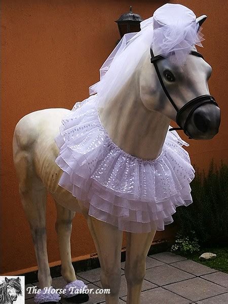 Bride Costume The Horse Tailor