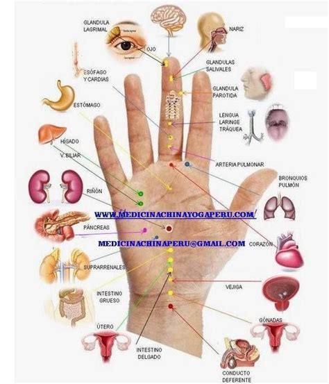Pin On Chronic Illness Reflexology Pressure Points Acupuncture Points