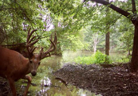 Illinois Hunting Pictures Photo Gallery Of Illinois Hunts And Of