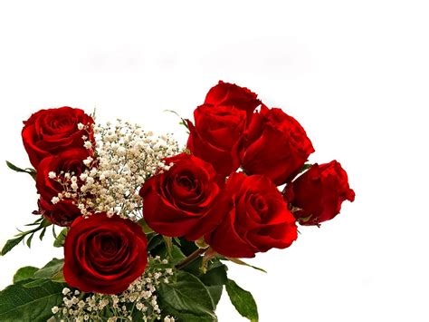 Most Beautiful Roses And Bouquet Beautiful Rose Flowers