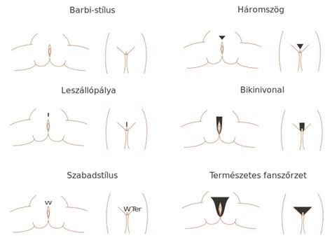 It is on the expensive side, but it is of top quality and can easily be cleaned and maintained so that you get one which is especially designed for pubic hair removal. File:Pubic hair styles hu.svg - Wikimedia Commons