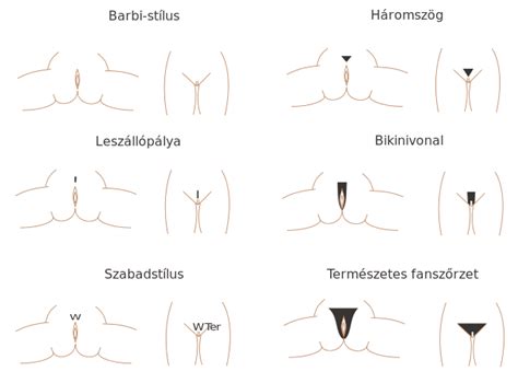 Nov 17, 2020 · we're going to run down the best shaver for your pubic hair so you don't have to find it. File:Pubic hair styles hu.svg - Wikimedia Commons